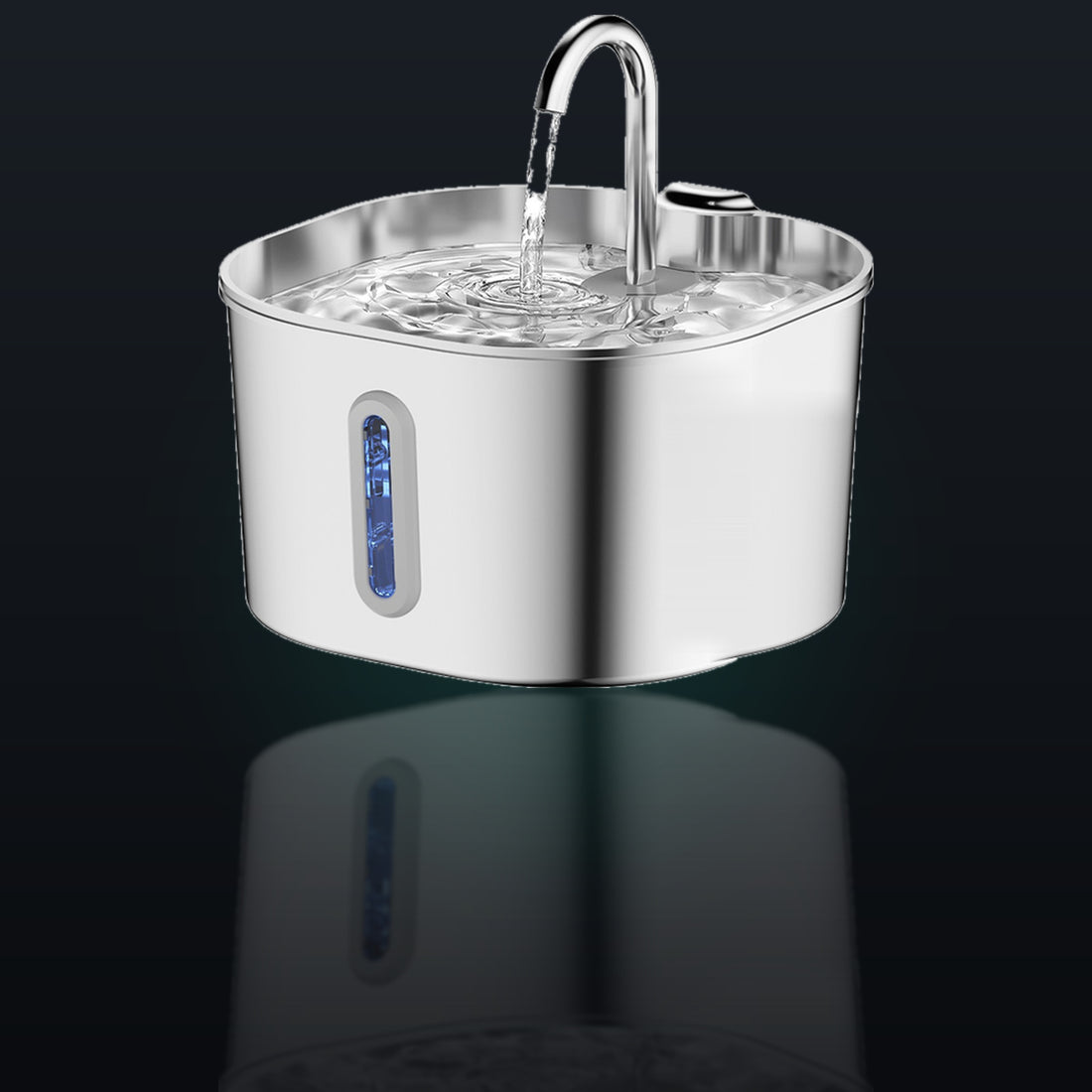 Whiskerkind 2.2L stainless steel cat fountain, studio lit with reflection
