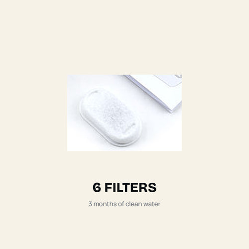 filter-plate.jpg