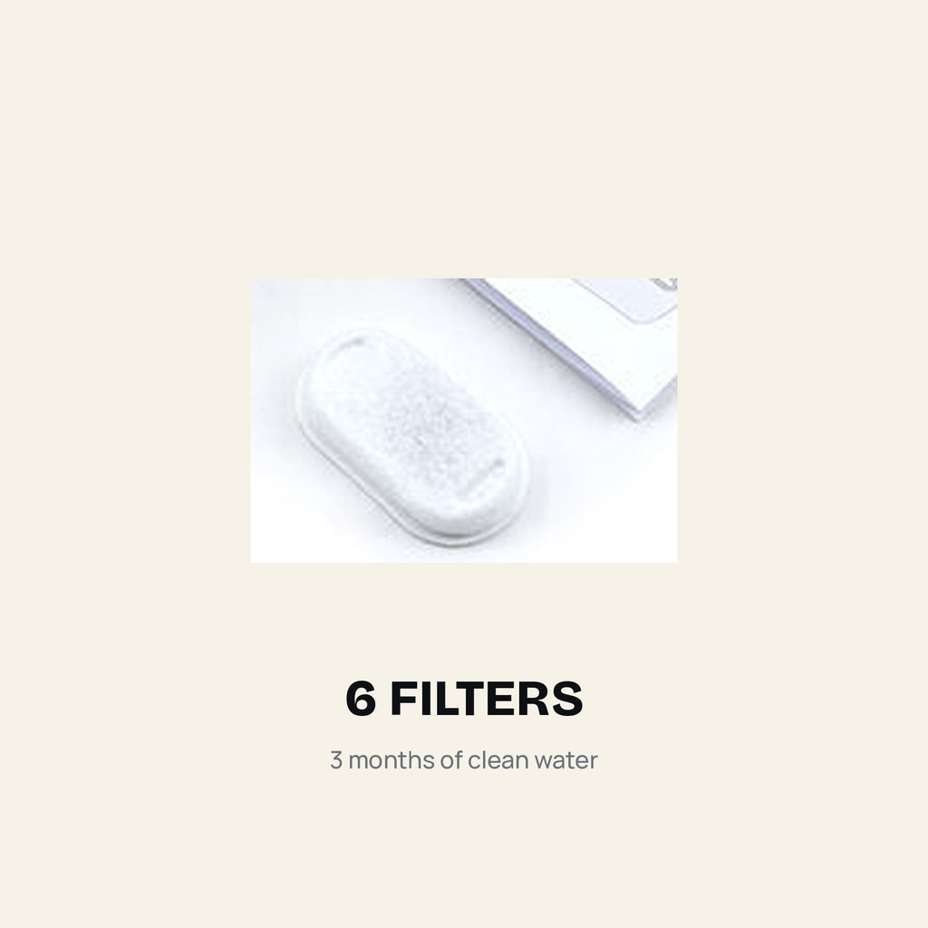 filter-plate.jpg